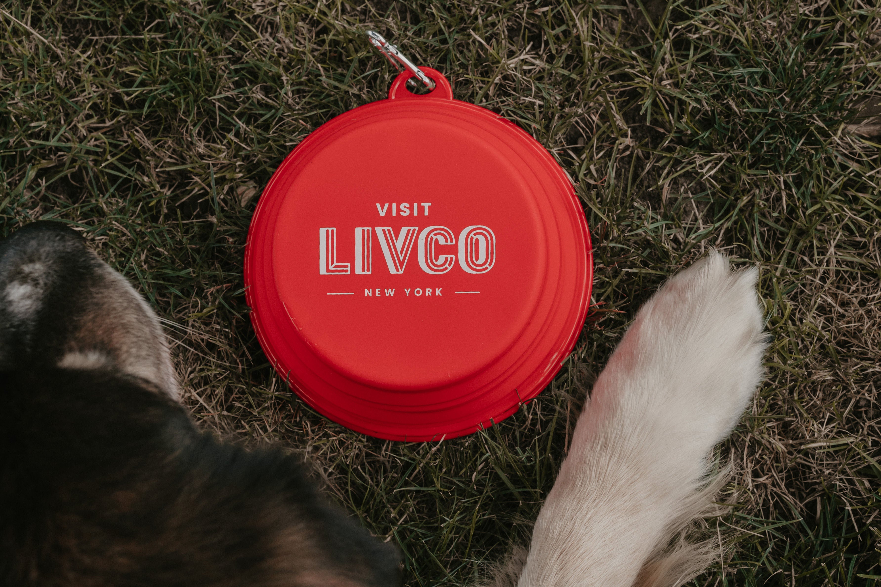 Portable shop water bowl